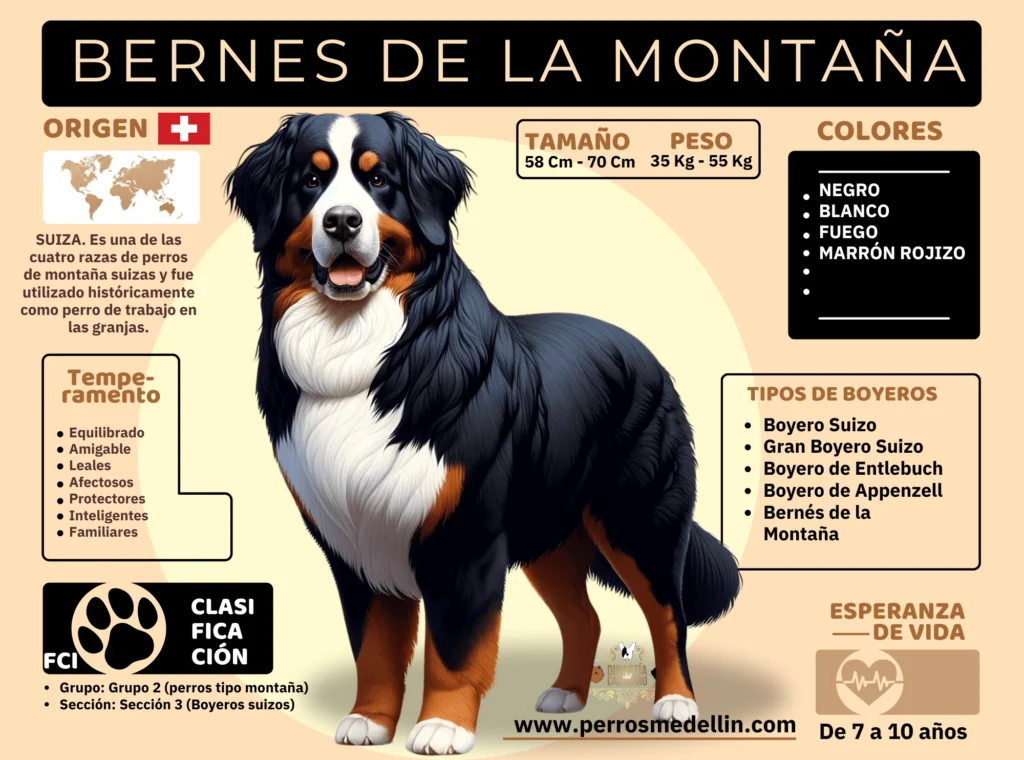 Bernes de la montaña